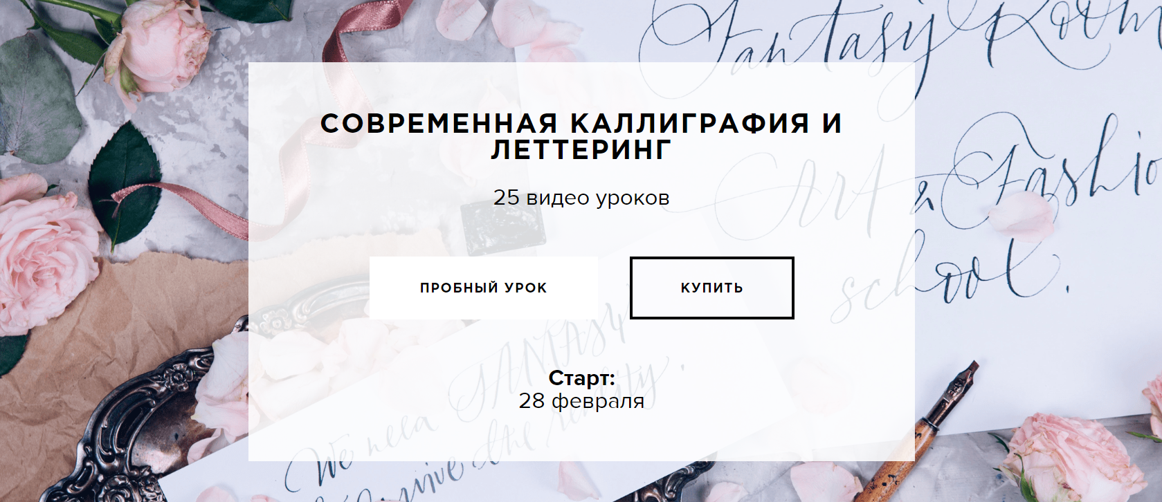 [Саша Гога] Современная каллиграфия и леттеринг (2_0.png